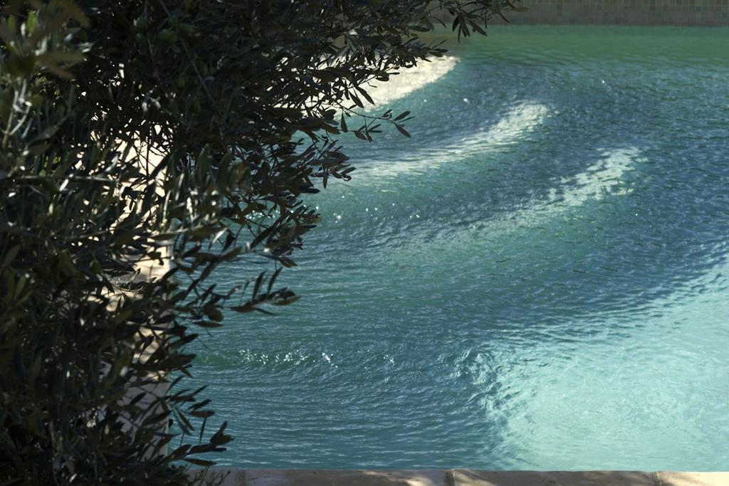 코티냑 Mas De L'Olivette B&B 외부 사진